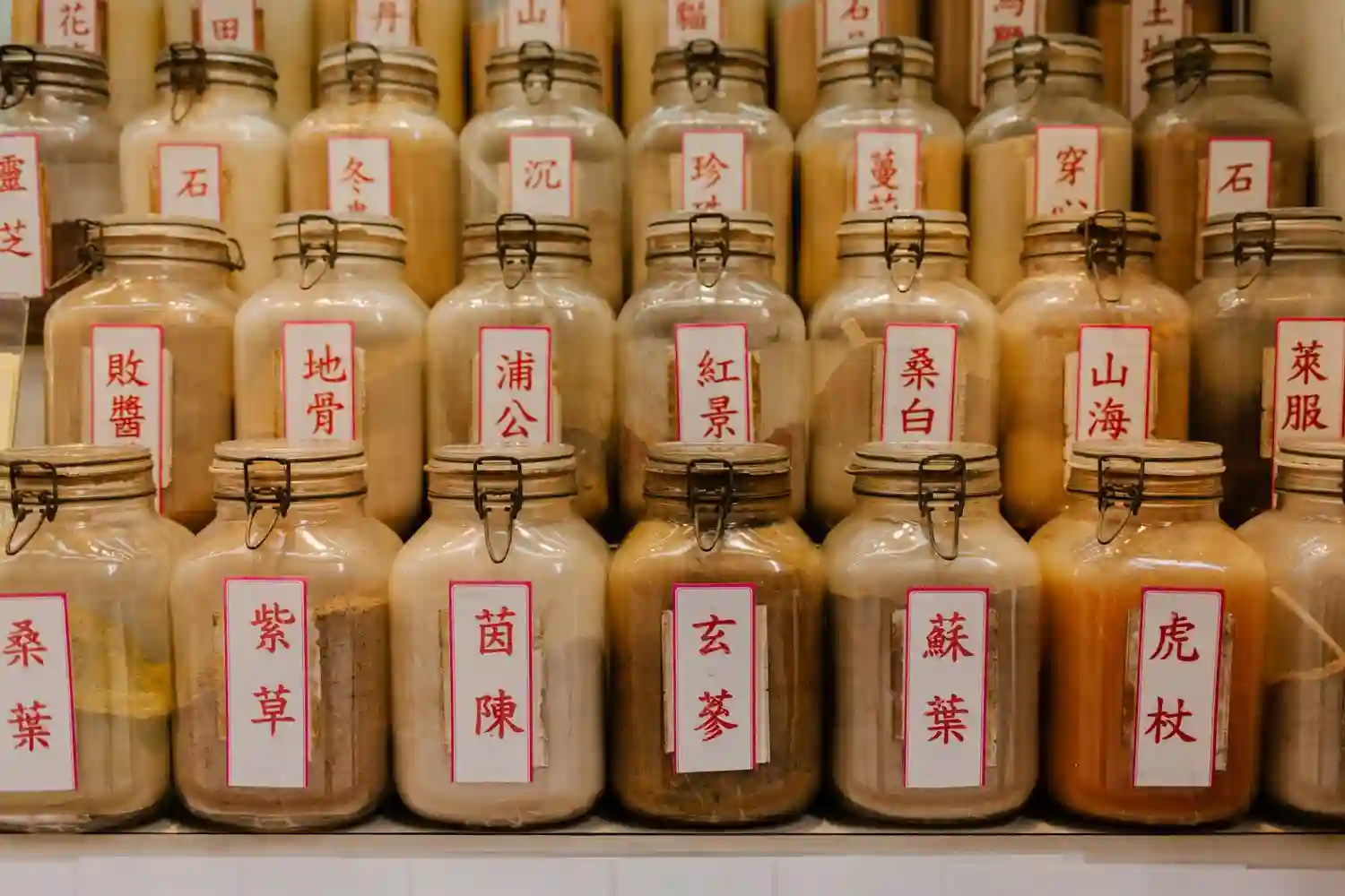 Traditional Chinese medicine apothecary where remedies like yin yang huo were passed down for centuries
